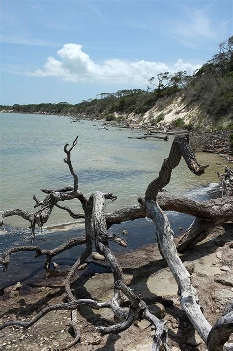 Aransas National Wildlife Refuge Deartexas