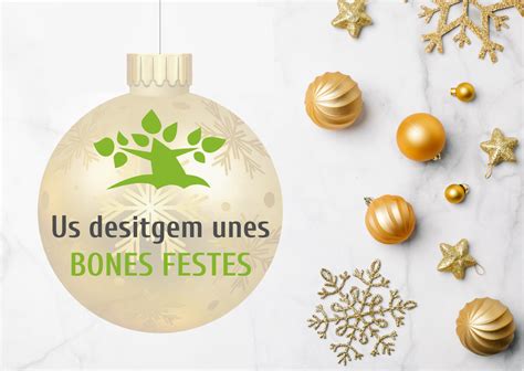 Des De La Camfic Us Desitgem Unes Bones Festes