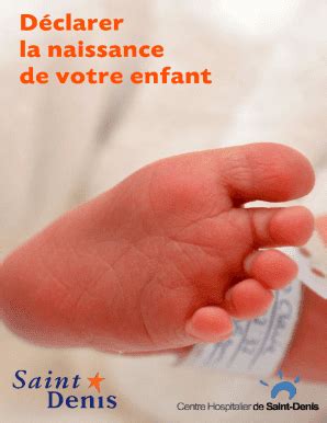 Remplissable En Ligne Dclaration De Naissance Ou Reconnaissance D Un