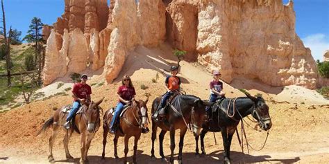 Top 11 Awesome Things To Do In Bryce Canyon National Park