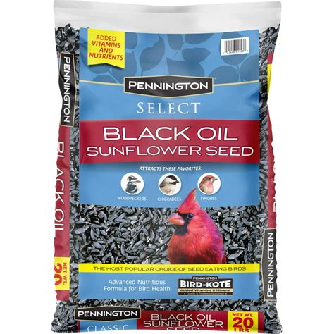 Pennington Select Black Oil Sunflower Seed Wild Bird Feed 20 Lb Bag