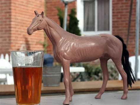 Can Horses Drink Beer A Pint Of Research Goes A Long Way Horse Tack