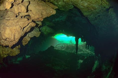 The Top 5 Cave Diving Locations in Tulum, Riviera Maya | Koox Diving