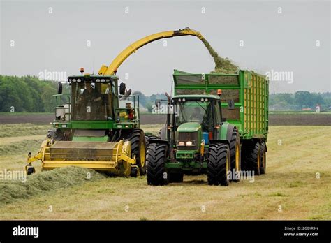 Harvesting Grass Two Tractors Working One Towing Harvester And