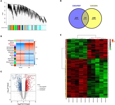 Frontiers Comprehensive Analysis Of Key M A Modification Related