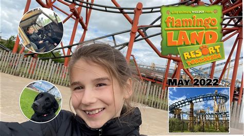 FLAMINGO LAND VLOG MAY 2022 YouTube