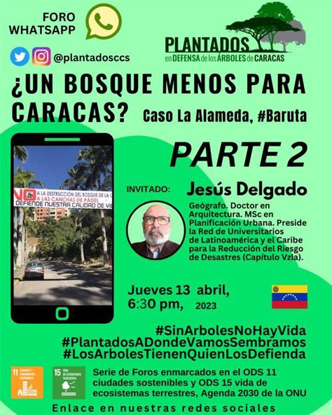 Plantados Caracas On Twitter Hoy Un Bosque Menos En Caracas