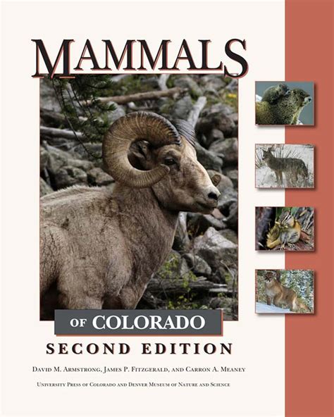 Mammals Of Colorado Second Edition 2nd Armstrong David M