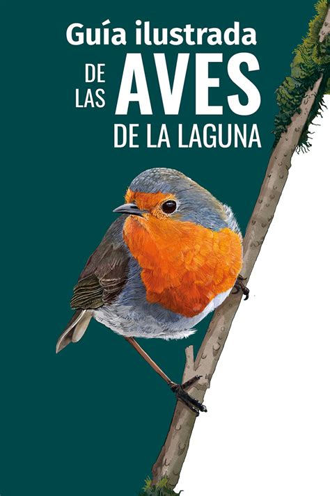 Gu A Ilustrada De Aves