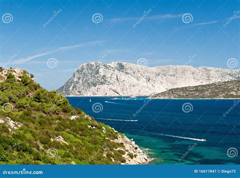 Île De Tavolara Olbia Sardaigne Italie Photographie Stock Libre