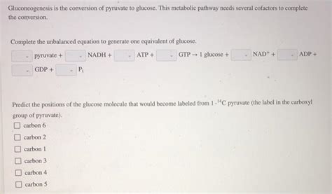 Solved Gluconeogenesis Is The Conversion Of Pyruvate To