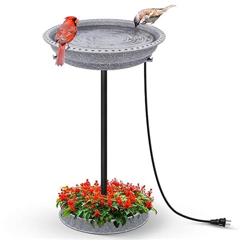 Heated Bird Baths For Winter Top Picks And Tips Birds And Wetlands