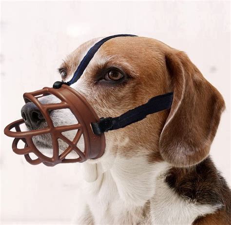 How Can I Make A Homemade Muzzle For My Dog At Summer Alfred Blog