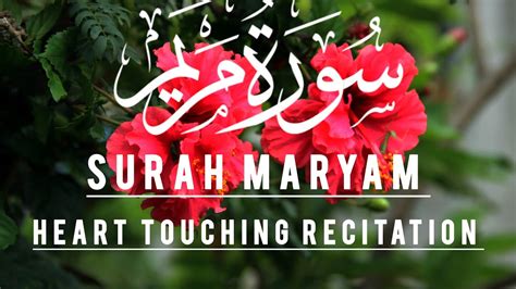 Surah Maryam Full Hd Heart Touching Recitation Beautiful Voice Qari Kashif Aziz Youtube