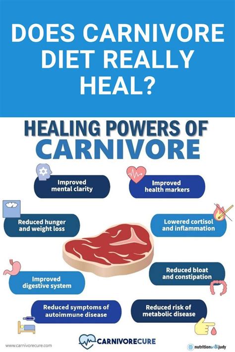 Keto Carnivore Food List Artofit