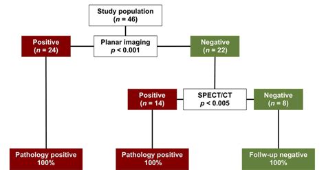 Table 1 From Incremental Value Of Sestamibi SPECT CT Over Dual Phase