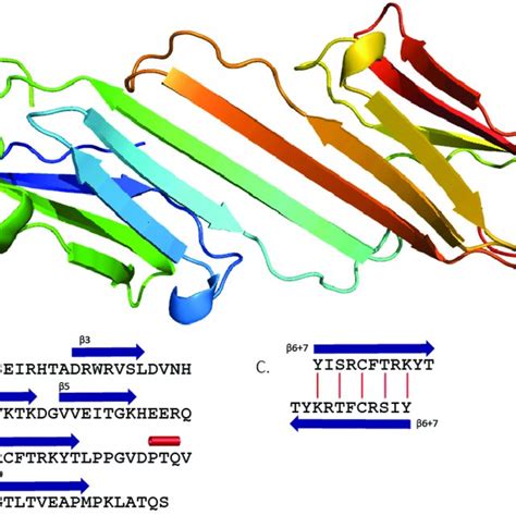 Surface Rendering Of Nmr Structure Of Hsp B Crystallin