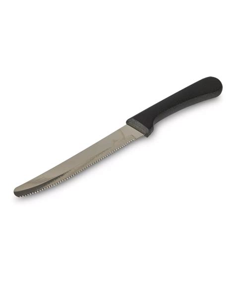 Cuchillo Mesa Mango Plastico Punta Redonda Concasse Mccmp R Equi Par