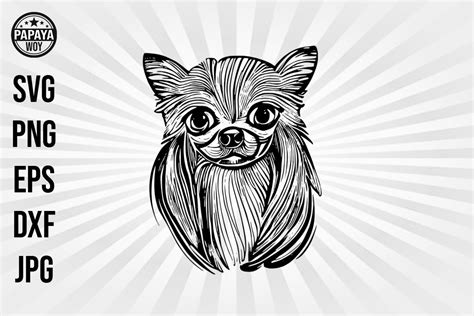 Chihuahua Graphic By Papaya Woy Creative Fabrica