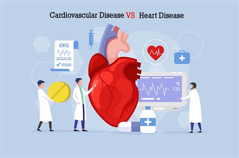 Cardiovascular Disease & Heart Disease Treatments