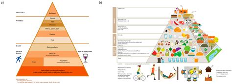 Government Food Pyramid 2023