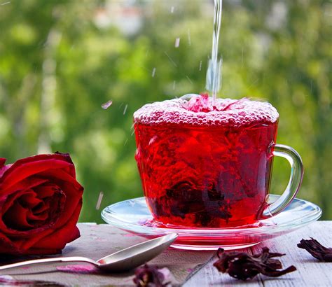 Hibisco veja como tomar o chá para emagrecer Hibiscus tea Hibiscus