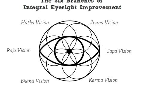 The Six Branches Of Integral Eyesight Improvement Integral Eyesight