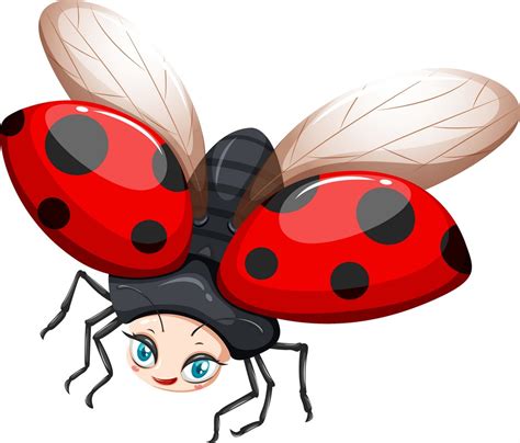 a ladybug - Clipart World