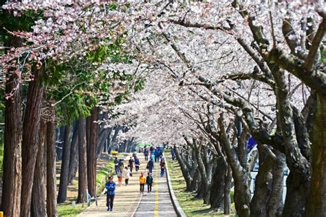 6 Kota Di Korea Selatan Yang Wajib Dikunjungi Selain Seoul Salah