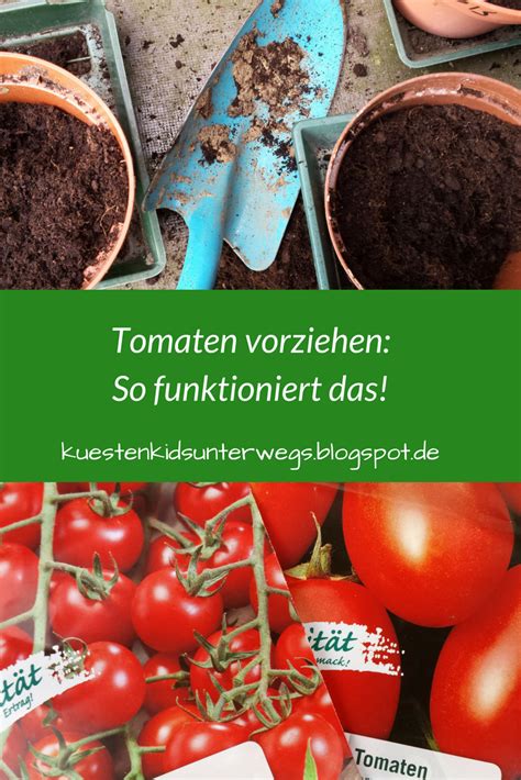 Unterwegs Im Garten Tomaten Vorziehen Einfache Anleitung Tomaten