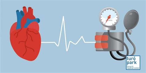 38 Regulacion De La Presion Arterial Pics Tipos
