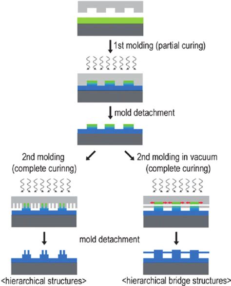 Schematic Illustration Of The Fabrication Of The Micro Nanoscale