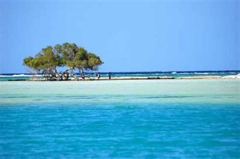 Marsa Alam Hamata Islands Norchlov N S Ob Dem Getyourguide