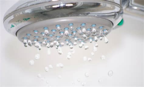 How To Clean A Shower Head Decoist