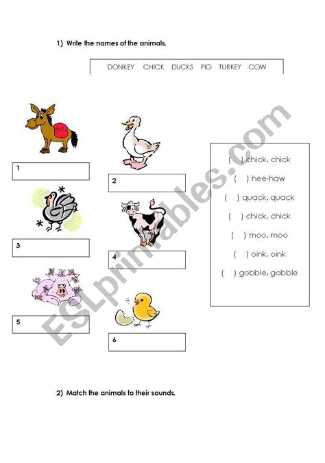 Old Macdonald Esl Worksheet By Ninha2