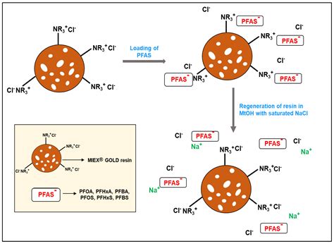 Applied Sciences Free Full Text Ion Exchange Miex® Gold Resin As A