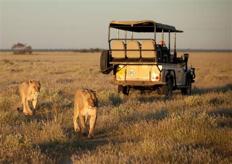 What's in the Camera Bag - Africa Photo Safari Edition