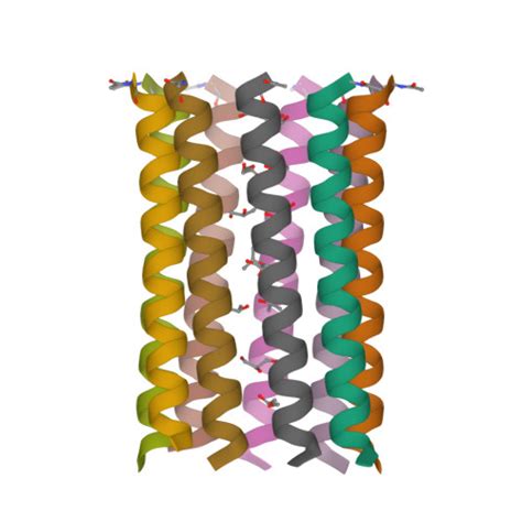 Rcsb Pdb Bim A De Novo Designed Nonameric Coiled Coil Cc Type