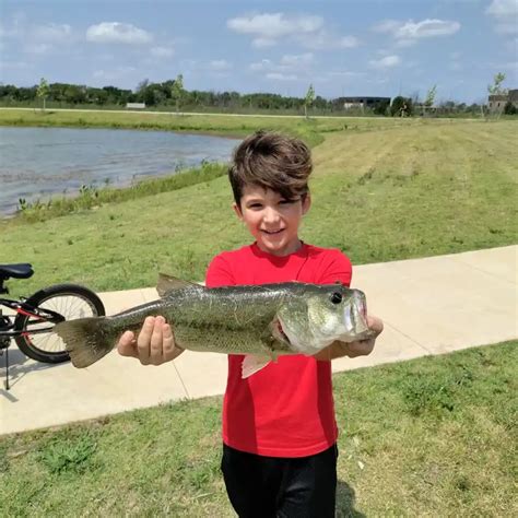 Lake Bentonville Fishing Reports🎣• Bentonville Ar United States