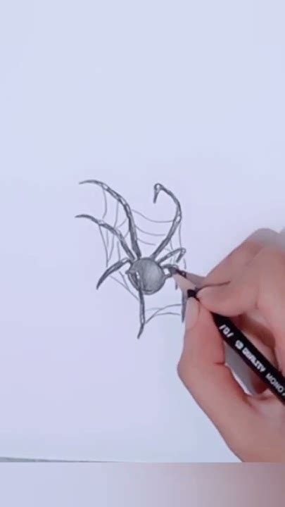 How To Draw Spider 🕷️🕸️ Shorts Viral Youtubeshorts Spider Youtube