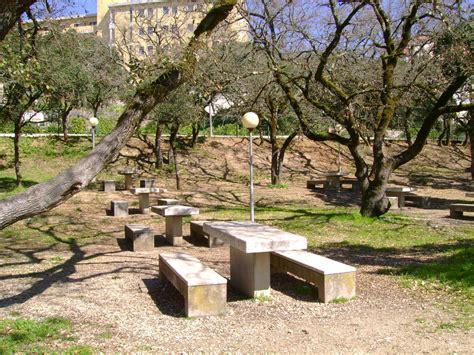 Parque De Merendas No Santu Rio De F Tima Our M All About Portugal