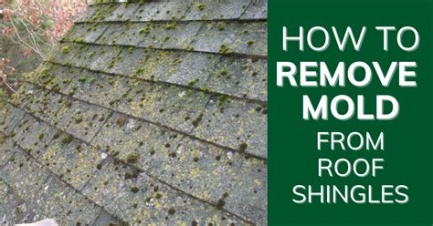 How To Remove Moss From Asphalt Shingles At Melissa Emilee Blog