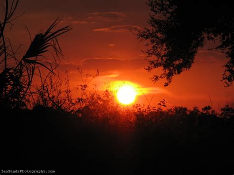 Fire Orange Sunset Photo Labelle Florida – IansPhotos.Net