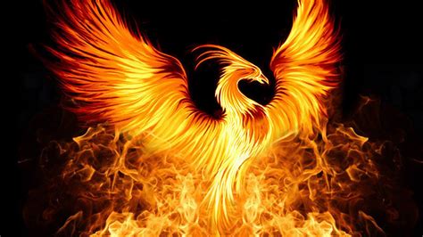 Water Fire Phoenix Wallpapers Wallpaper Cave