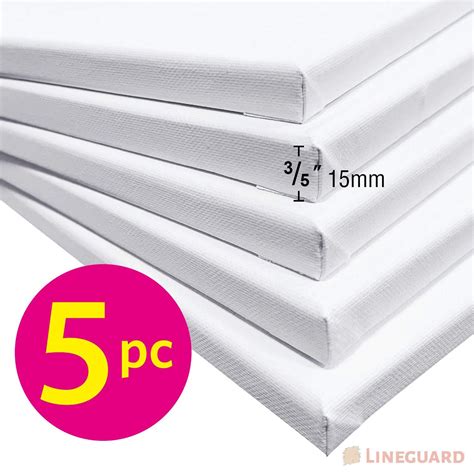 5x Blank Artist Stretched Canvas Canvases Art Large White Range Oil