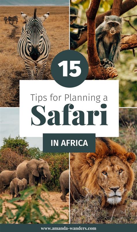 15 Tips For Your First African Safari And Things To Know Before You Go En