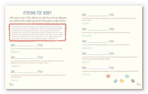 Introducing The Perfect Pregnancy Planner