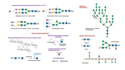 Symbol Nomenclature For Glycans Snfg Ncbi