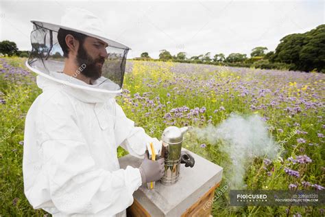 Beekeeper using bee smoker in field — handsome, holding - Stock Photo ...