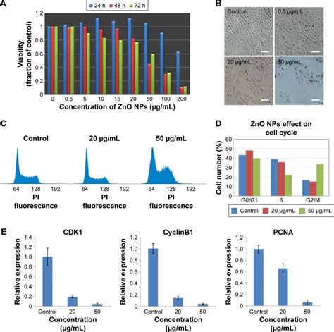 Viability Of HacaT Cells And Cell Cycle Alterations In HacaT Cells